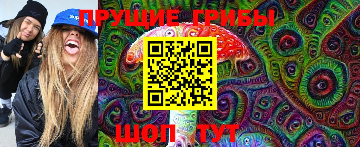 Сибай  Псилоцибиновые грибы мицелий  Вход с VPN 